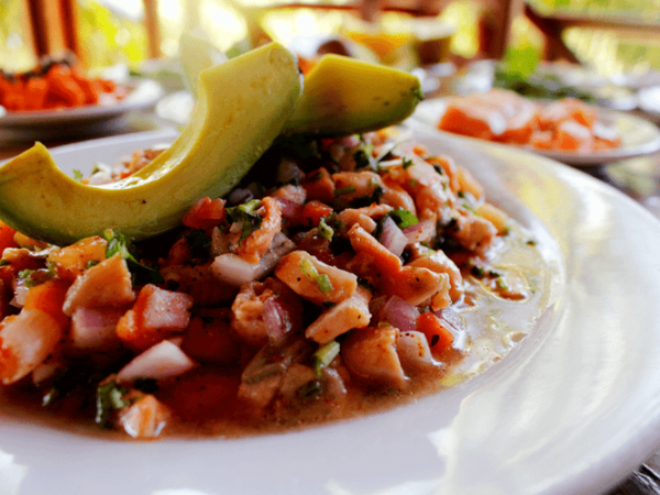 Comidas Yucatecas ¡Todas las Recetas Deliciosas de Yucatán!