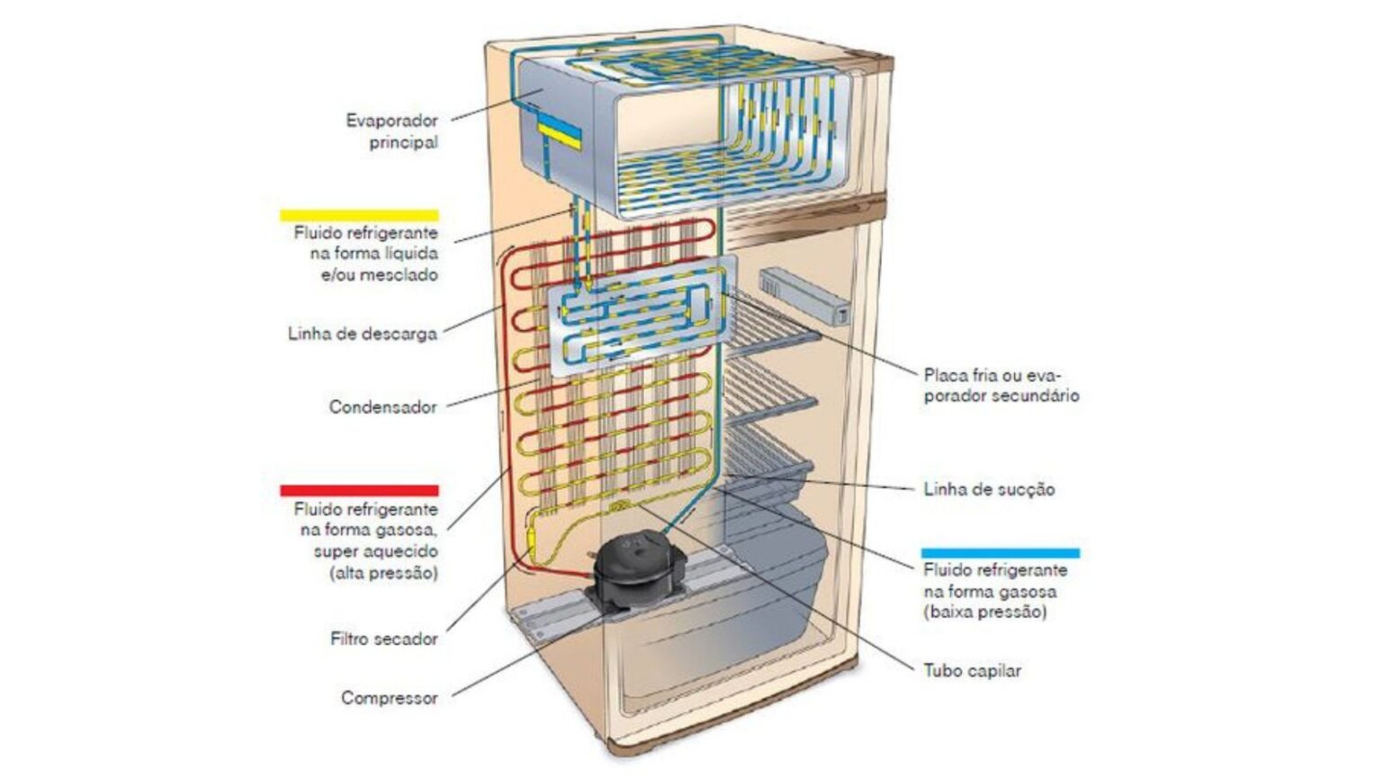 Partes De Un Refrigerador Entiende Cómo Funciona Cada Una 0849