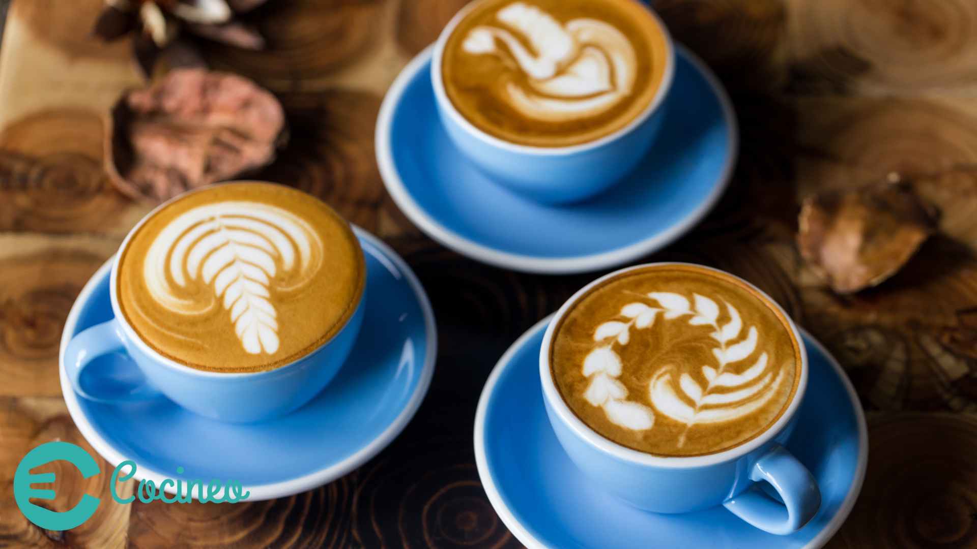 tipos de tazas para cafe