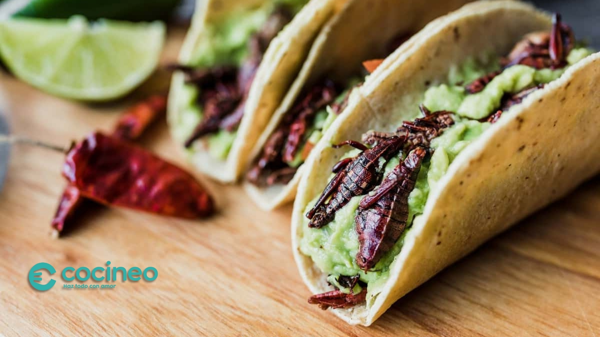 Receta de tacos de chapulines